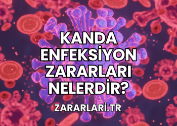 Kanda Enfeksiyon Zararları Nelerdir?
