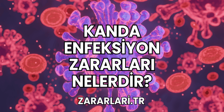 Kanda Enfeksiyon Zararları Nelerdir?