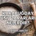 Karabuğday Unu Zararları Nelerdir?