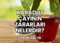 Karadut Çayının Zararları Nelerdir?