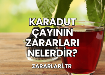 Karadut Çayının Zararları Nelerdir?