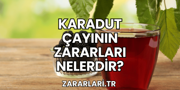 Karadut Çayının Zararları Nelerdir?
