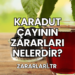 Karadut Çayının Zararları Nelerdir?