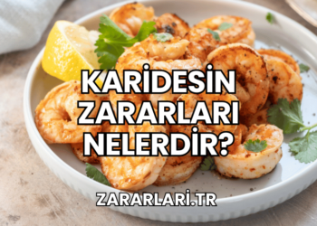 Karidesin Zararları Nelerdir?