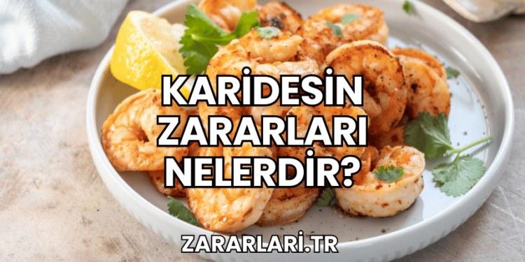 Karidesin Zararları Nelerdir?