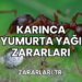 Karınca Yumurta Yağı Zararları