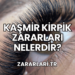 Kaşmir Kirpik Zararları Nelerdir?