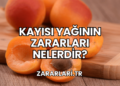 Kayısı Yağının Zararları Nelerdir?