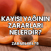 Kayısı Yağının Zararları Nelerdir?