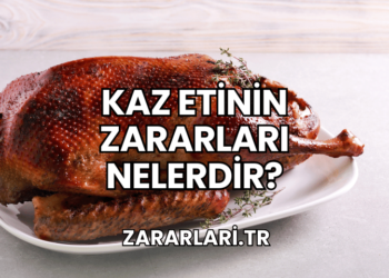 Kaz Etinin Zararları Nelerdir?