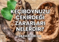 Keçiboynuzu Çekirdeği Zararları Nelerdir?