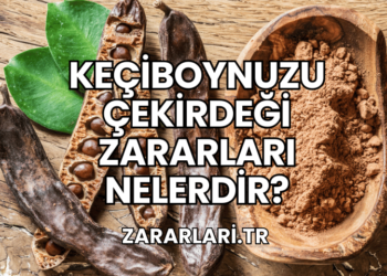 Keçiboynuzu Çekirdeği Zararları Nelerdir?