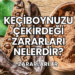 Keçiboynuzu Çekirdeği Zararları Nelerdir?