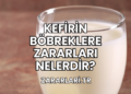 Kefirin Böbreklere Zararları Nelerdir?