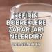 Kefirin Böbreklere Zararları Nelerdir?