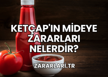 Ketçap'ın Mideye Zararları Nelerdir?