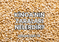 Kinoa'nın Zaraları Nelerdir?