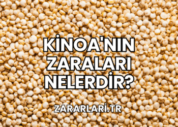 Kinoa'nın Zaraları Nelerdir?