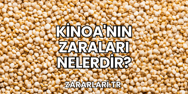 Kinoa'nın Zaraları Nelerdir?