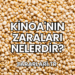 Kinoa'nın Zaraları Nelerdir?