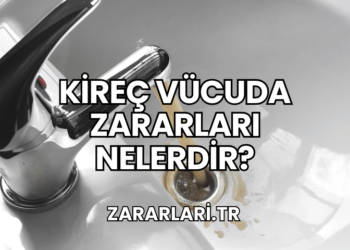 Kireç Vücuda Zararları Nelerdir?