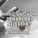Kireç Vücuda Zararları Nelerdir?