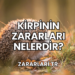 Kirpinin Zararları Nelerdir?