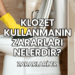 Klozet Kullanmanın Zararları Nelerdir?