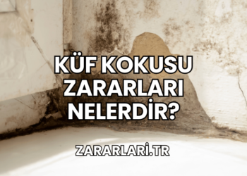 Küf Kokusu Zararları Nelerdir?