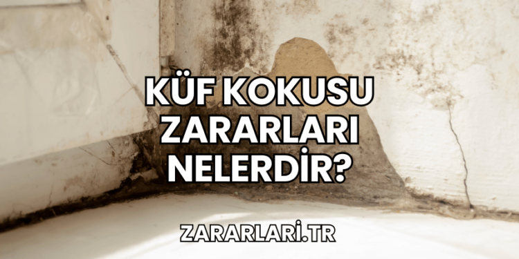 Küf Kokusu Zararları Nelerdir?