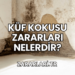 Küf Kokusu Zararları Nelerdir?