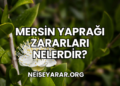 Mersin Yaprağı Zararları Nelerdir