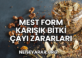 Mest Form Karışık Bitki Çayı Zararları