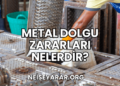 Metal Dolgu Zararları Nelerdir