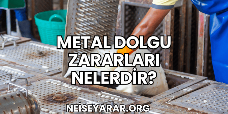 Metal Dolgu Zararları Nelerdir