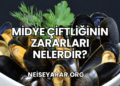 Midye Çiftliğinin Zararları Nelerdir?