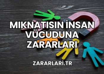 Mıknatısın İnsan Vücuduna Zararları