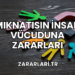 Mıknatısın İnsan Vücuduna Zararları