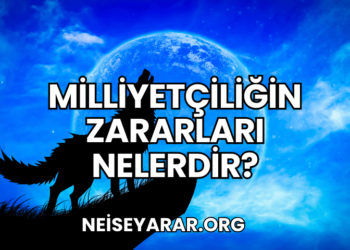 Milliyetçiliğin Zararları Nelerdir