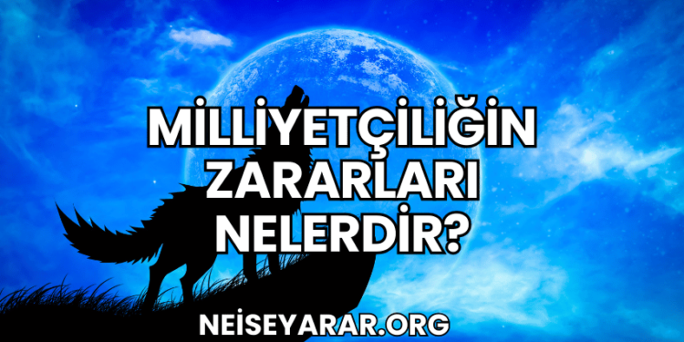 Milliyetçiliğin Zararları Nelerdir