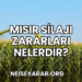 Mısır Silajı Zararları Nelerdir?