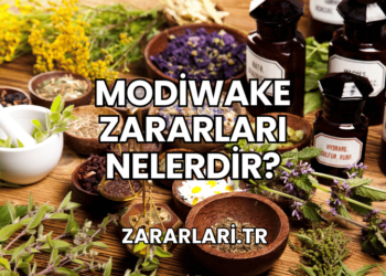 Modiwake Zararları Nelerdir?