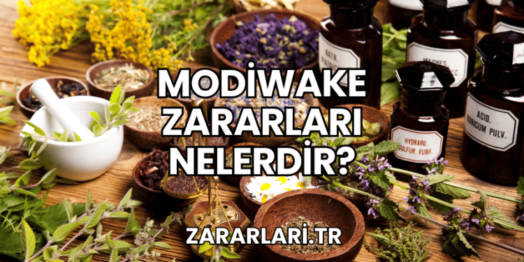 Modiwake Zararları Nelerdir?