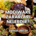 Modiwake Zararları Nelerdir?