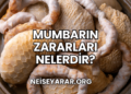 Mumbarın Zararları Nelerdir?