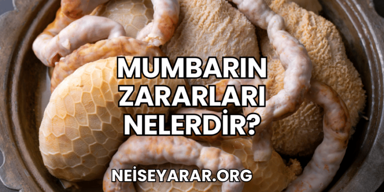 Mumbarın Zararları Nelerdir?