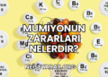 Mumiyonun Zararları Nelerdir