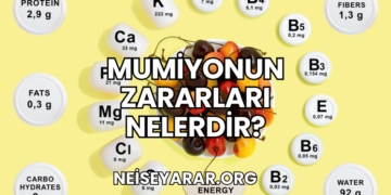 Mumiyonun Zararları Nelerdir