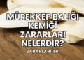 Mürekkep Balığı Kemiği Zararları Nelerdir?