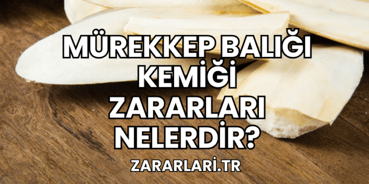 Mürekkep Balığı Kemiği Zararları Nelerdir?
